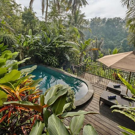 Mandana Ubud Villa Luaran gambar