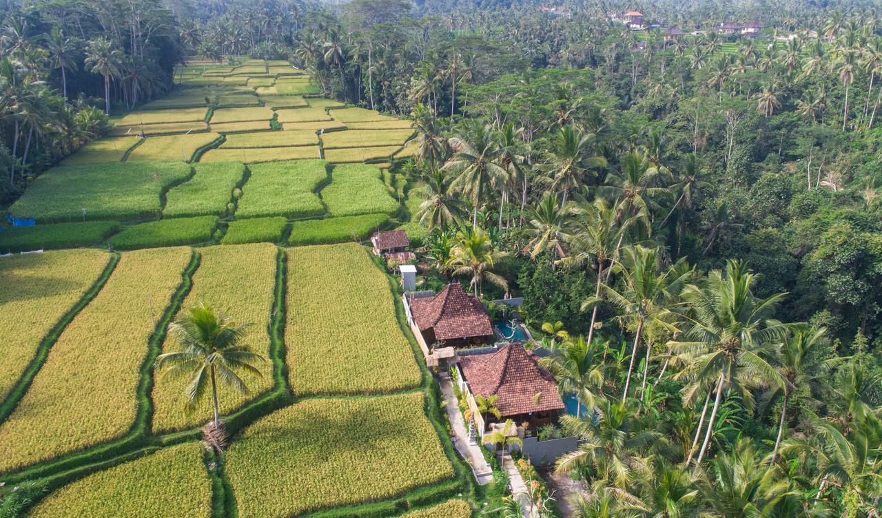 Mandana Ubud Villa Luaran gambar